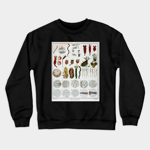 Micro Biology Life Vintage Poster Crewneck Sweatshirt by SpaceWiz95